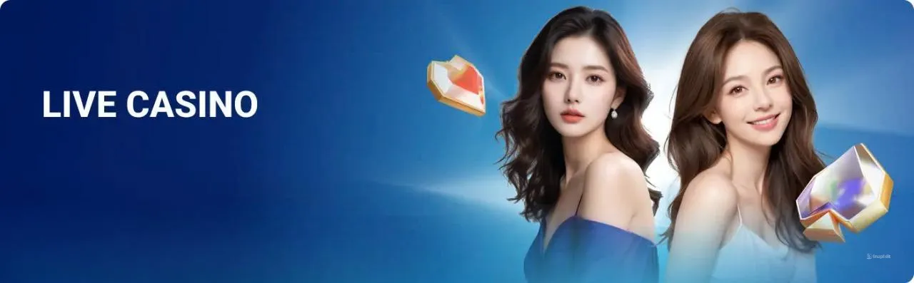trang chủ 4 Live casino sky88